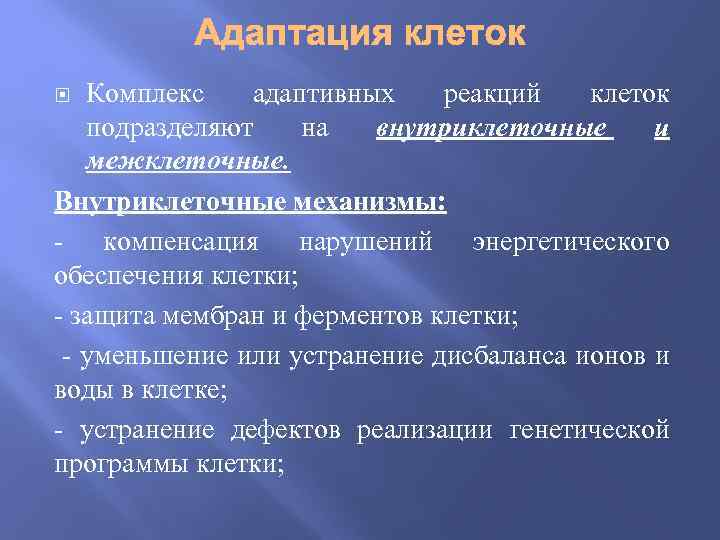 Комплекс адаптивных реакций клеток подразделяют на внутриклеточные и межклеточные. Внутриклеточные механизмы: - компенсация нарушений
