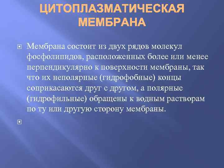  Мембрана состоит из двух рядов молекул фосфолипидов, расположенных более или менее перпендикулярно к