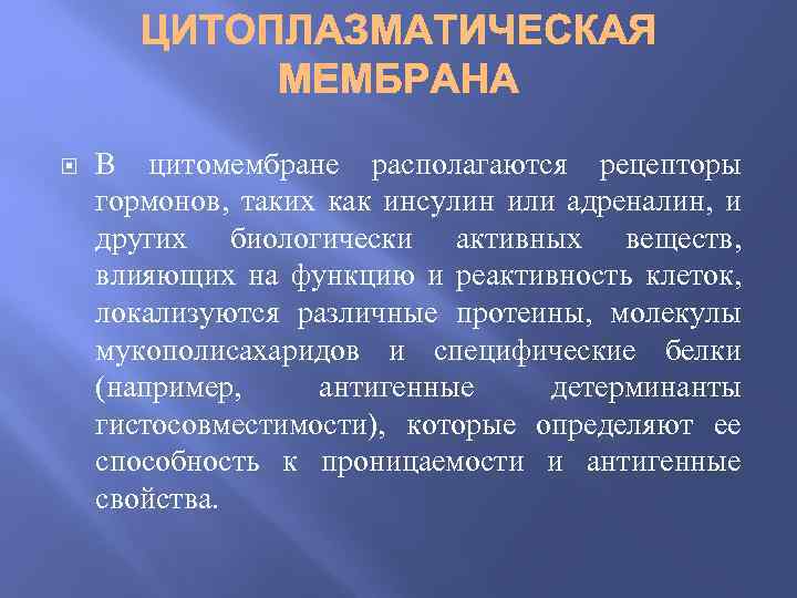  В цитомембране располагаются рецепторы гормонов, таких как инсулин или адреналин, и других биологически