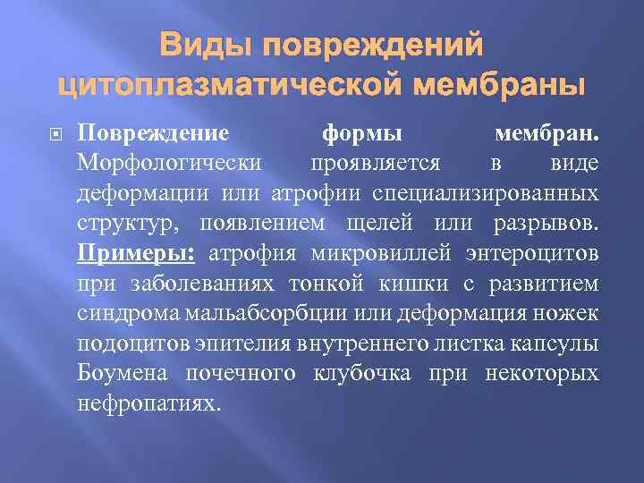 Виды повреждений цитоплазматической мембраны Повреждение формы мембран. Морфологически проявляется в виде деформации или атрофии