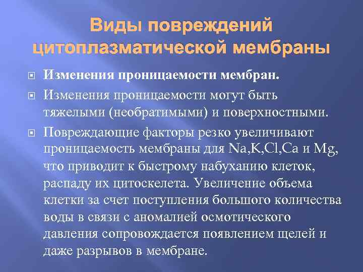 Виды повреждений цитоплазматической мембраны Изменения проницаемости мембран. Изменения проницаемости могут быть тяжелыми (необратимыми) и