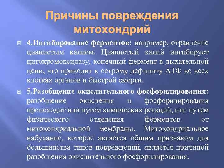 Причины повреждения митохондрий 4. Ингибирование ферментов: например, отравление цианистым калием. Цианистый калий ингибирует цитохромоксидазу,