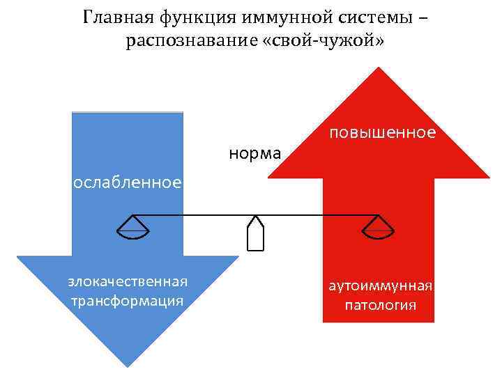 Главная функция иммунной системы – распознавание «свой-чужой» норма повышенное ослабленное злокачественная трансформация аутоиммунная патология