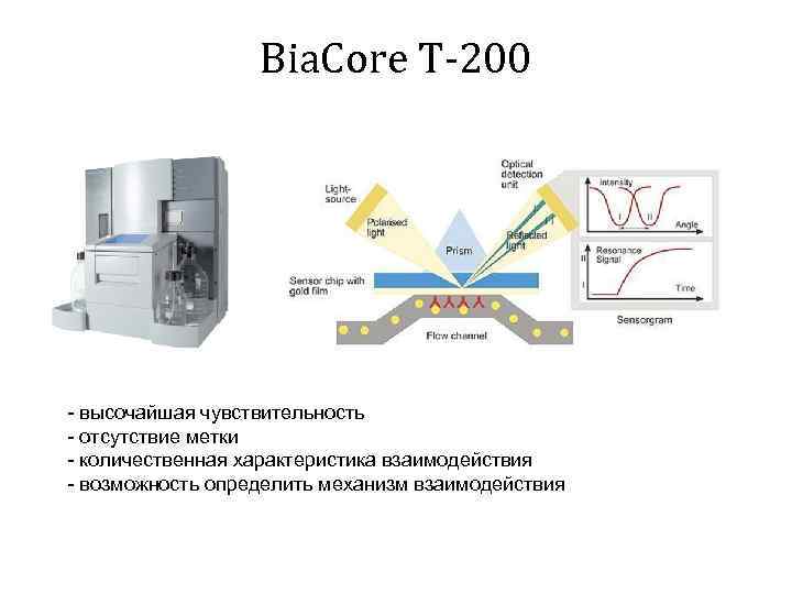 Bia. Core T-200 - высочайшая чувствительность - отсутствие метки - количественная характеристика взаимодействия -