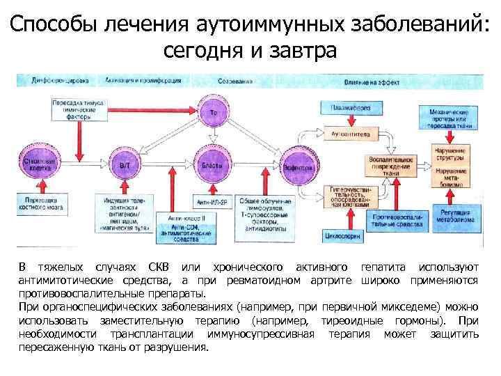 Нарушения иммунных процессов. Терапия аутоиммунных заболеваний. Препараты при аутоиммунных заболеваниях. Для аутоиммунных заболеваний, характерно.