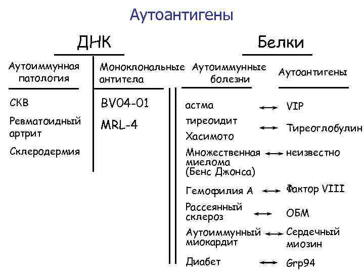 Аутоантигены ДНК Белки Аутоиммунная патология Моноклональные Аутоиммунные антитела болезни СКВ BV 04 -01 астма