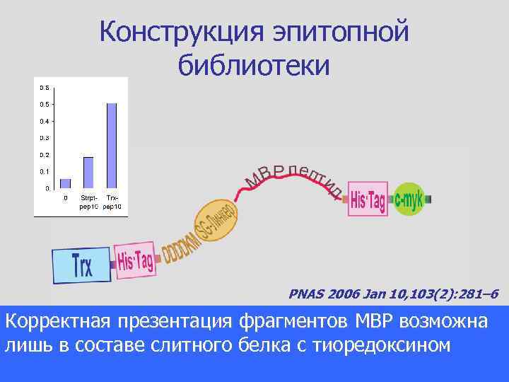 Конструкция эпитопной библиотеки PNAS 2006 Jan 10, 103(2): 281– 6 Корректная презентация фрагментов MBP