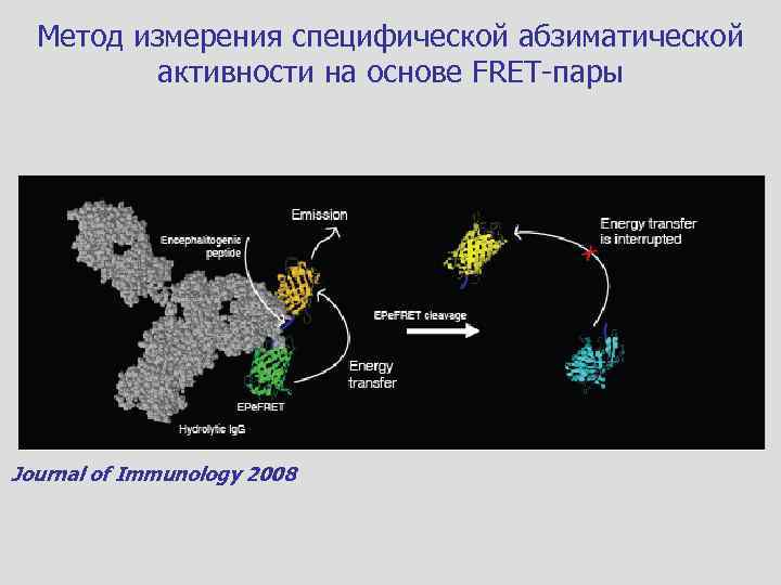 Метод измерения специфической абзиматической активности на основе FRET-пары Journal of Immunology 2008 