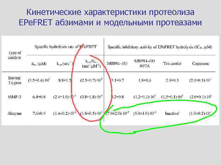 Кинетические характеристики протеолиза EPe. FRET абзимами и модельными протеазами 