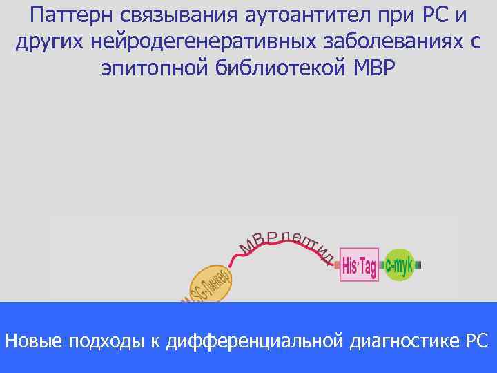 Паттерн связывания аутоантител при PC и других нейродегенеративных заболеваниях с эпитопной библиотекой MBP Новые