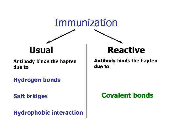 Immunization Usual Antibody binds the hapten due to Reactive Antibody binds the hapten due