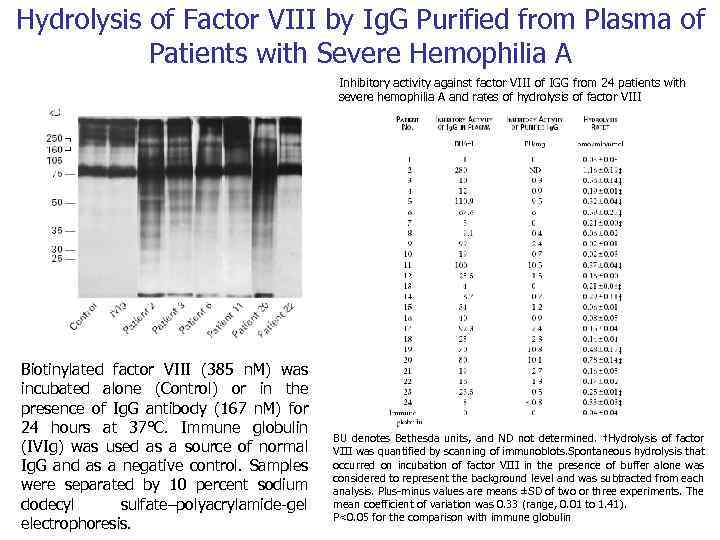Hydrolysis of Factor VIII by Ig. G Purified from Plasma of Patients with Severe