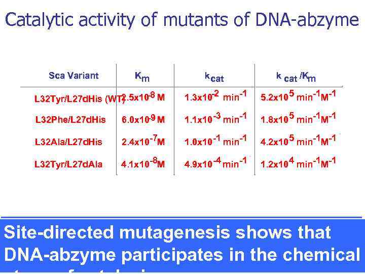 Catalytic activity of mutants of DNA-abzyme Sca Variant Km k cat /Km -8 2.