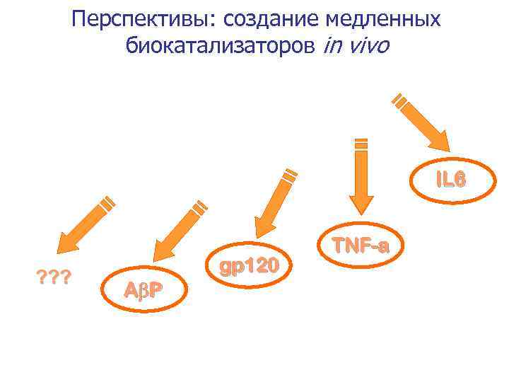 Перспективы: создание медленных биокатализаторов in vivo IL 6 ? ? ? Ab P gp