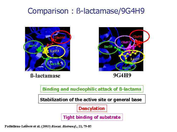 Comparison : ß-lactamase/9 G 4 H 9 Glu 98 Glu 166 Gln 95 Ser