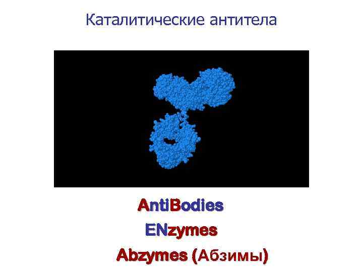 Каталитические антитела Anti. Bodies ENzymes Abzymes (Абзимы) 
