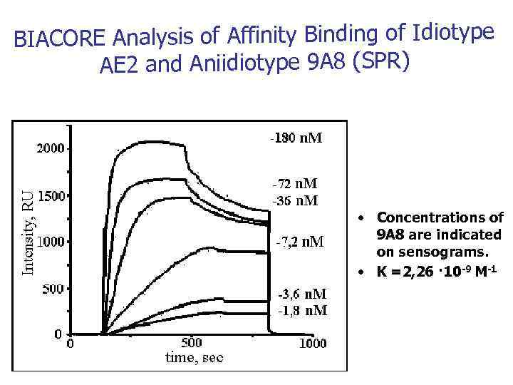 BIACORE Analysis of Affinity Binding of Idiotype AE 2 and Aniidiotype 9 A 8