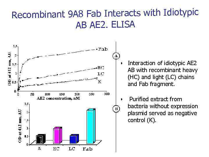 Recombinant 9 A 8 Fab Interacts with Idiotypic AB AE 2. ELISA • Interaction