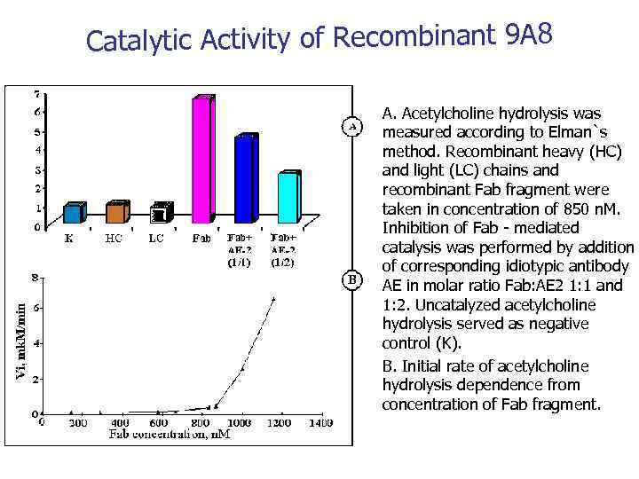 Catalytic Activity of Recombinant 9 А 8 • • A. Acetylcholine hydrolysis was measured