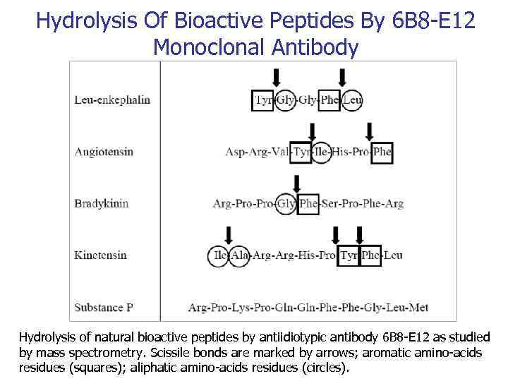 Hydrolysis Of Bioactive Peptides By 6 B 8 -E 12 Monoclonal Antibody Hydrolysis of