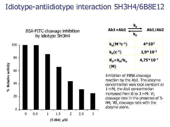 Idiotype-antiidiotype interaction 5 H 3 H 4/6 B 8 E 12 BSA-FITC cleavage inhibition
