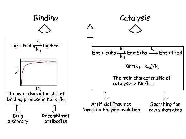 Binding k 1 k-1 Lig*Prot Enz + Subs k-1 Enz*Subs kcat Enz + Prod