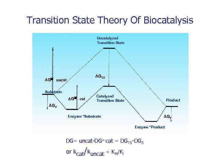Transition State Theory Of Biocatalysis Uncatalyzed Transition State DGTS DG= uncat Substrate DG= cat