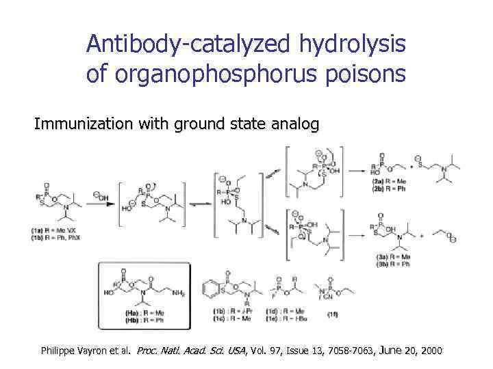 Antibody-catalyzed hydrolysis of organophosphorus poisons Immunization with ground state analog Philippe Vayron et al.