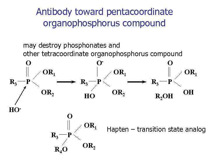Antibody toward pentacoordinate organophosphorus compound R 3 may destroy phosphonates and other tetracoordinate organophosphorus