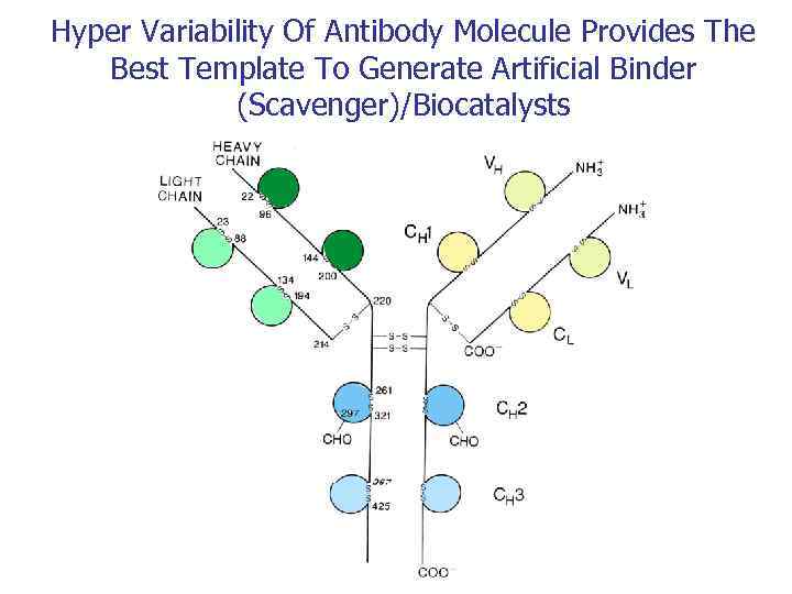 Hyper Variability Of Antibody Molecule Provides The Best Template To Generate Artificial Binder (Scavenger)/Biocatalysts