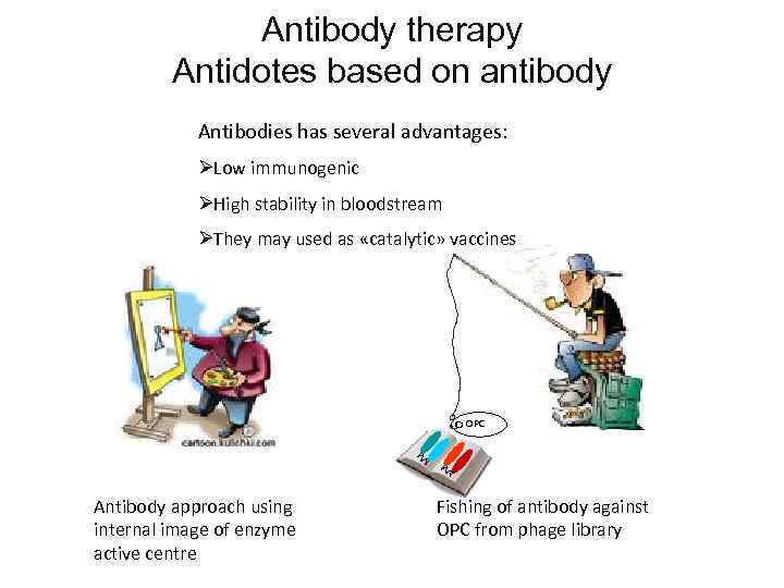 Antibody therapy Antidotes based on antibody Antibodies has several advantages: ØLow immunogenic ØHigh stability