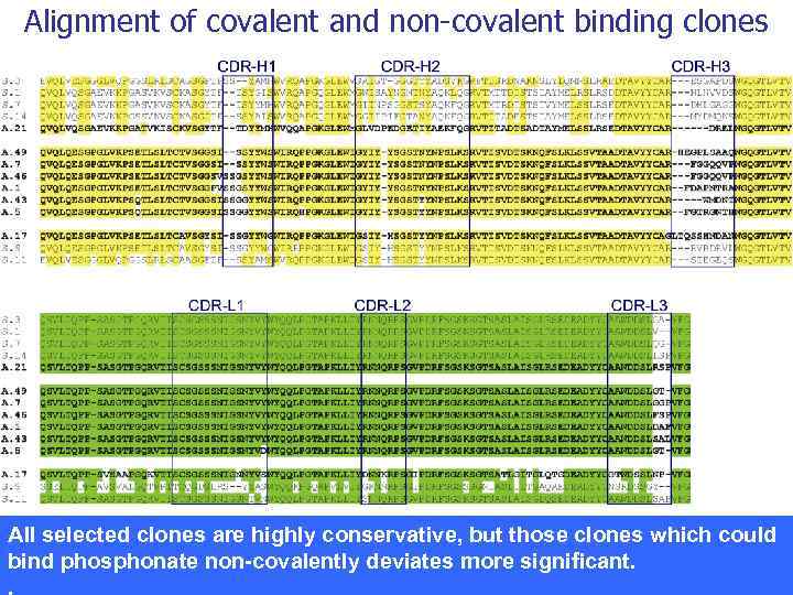 Alignment of covalent and non-covalent binding clones All selected clones are highly conservative, are