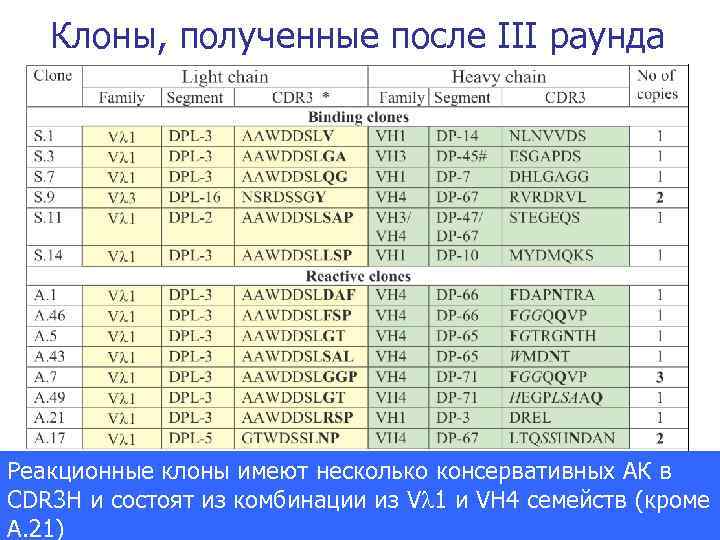 Клоны, полученные после III раунда Реакционные клоны имеют несколько консервативных АК в CDR 3