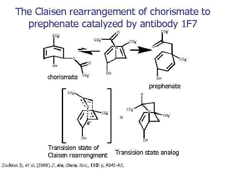 The Claisen rearrangement of chorismate to prephenate catalyzed by antibody 1 F 7 chorismate