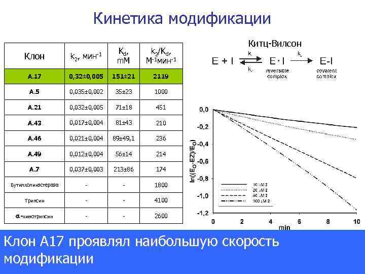 Кинетика модификации Клон k 2, мин-1 Kd , m. M k 2/Kd, М-1 мин-1