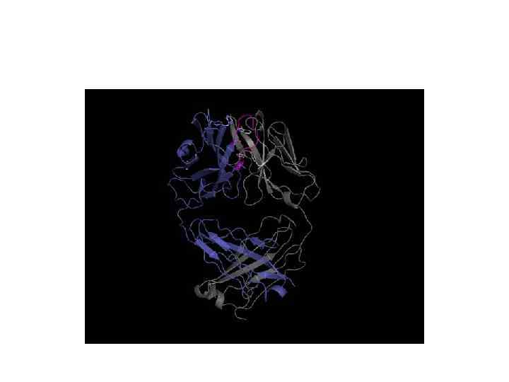 A. 17 antibody has unusual deep cavity with nucleophilic tyrosine at its base I.