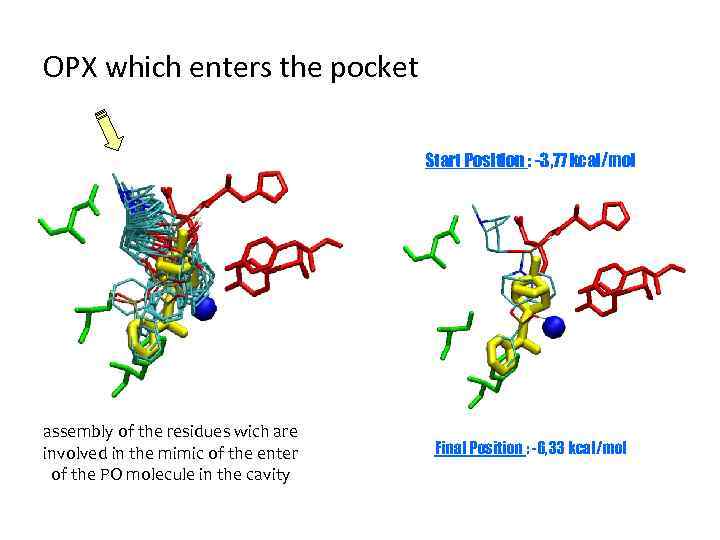 OPX which enters the pocket Start Position : -3, 77 kcal/mol assembly of the