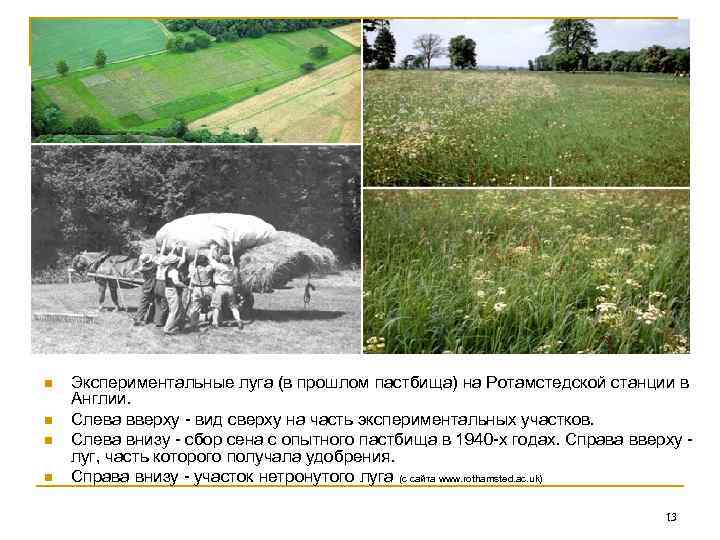n n Экспериментальные луга (в прошлом пастбища) на Ротамстедской станции в Англии. Слева вверху