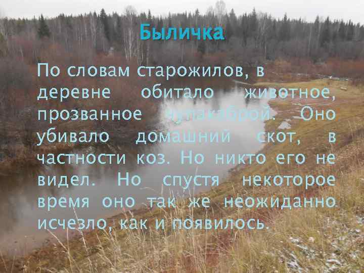 Быличка По словам старожилов, в деревне обитало животное, прозванное чупакаброй. Оно убивало домашний скот,