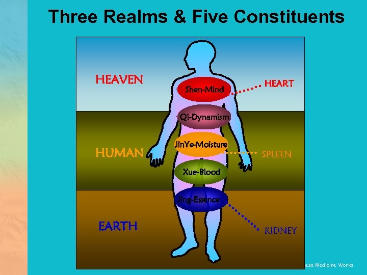 Three Realms & Five Constituents HEAVEN Shen-Mind HEART Qi-Dynamism HUMAN Jin. Ye-Moisture SPLEEN Xue-Blood