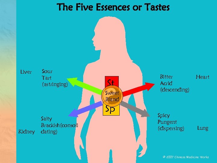 The Five Essences or Tastes Liver Sour Tart (astringing) St Sweet Bland Sp Kidney