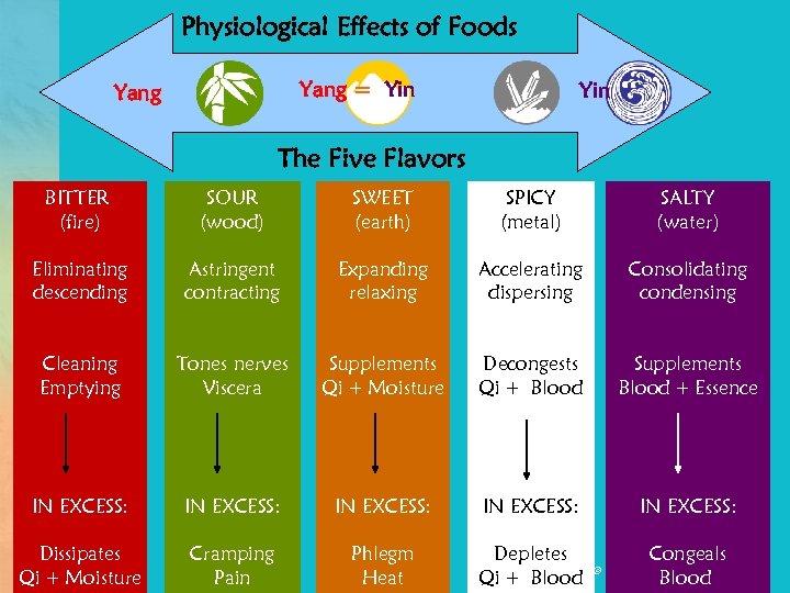 Physiological Effects of Foods Yang = Yin Yang Yin The Five Flavors BITTER (fire)