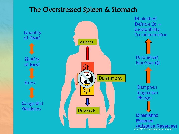 The Overstressed Spleen & Stomach Quantity of Food Quality of food Stress Congenital Weakness