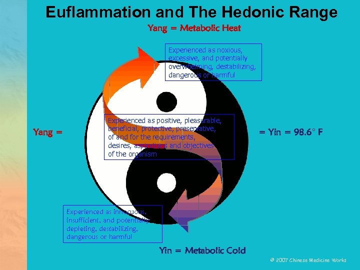 Euflammation and The Hedonic Range Yang = Metabolic Heat Experienced as noxious, excessive, and