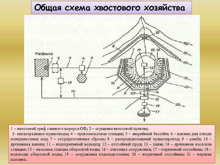 Общая схема хвостового хозяйства 1 – хвостовой зумф главного корпуса ОФ; 2 – сгущение