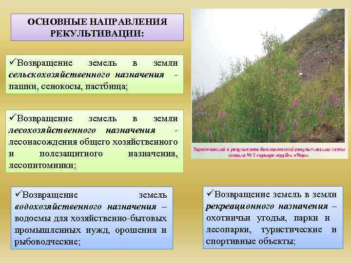 ОСНОВНЫЕ НАПРАВЛЕНИЯ РЕКУЛЬТИВАЦИИ: üВозвращение земель в земли сельскохозяйственного назначения пашни, сенокосы, пастбища; üВозвращение земель
