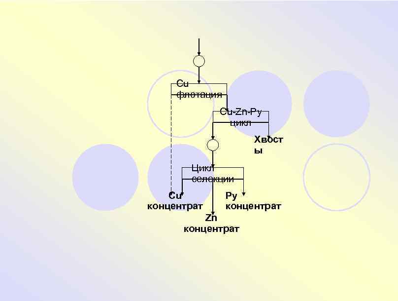 Cu флотация Cu-Zn-Py цикл Хвост ы Цикл селекции Cu концентрат Py концентрат Zn концентрат