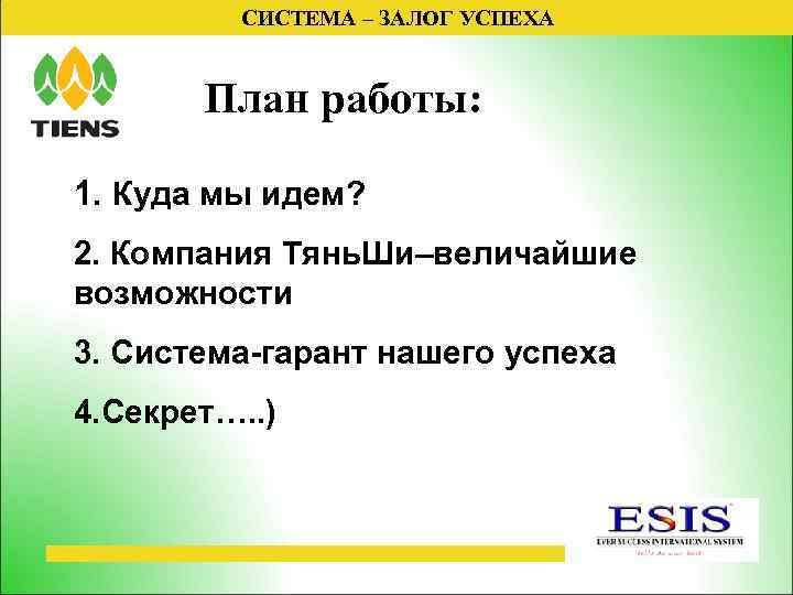 СИСТЕМА – ЗАЛОГ УСПЕХА План работы: 1. Куда мы идем? 2. Компания Тянь. Ши–величайшие