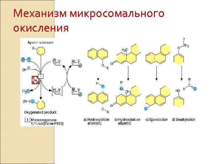 Схема микросомального окисления биохимия