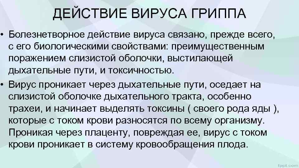 ДЕЙСТВИЕ ВИРУСА ГРИППА • Болезнетворное действие вируса связано, прежде всего, с его биологическими свойствами: